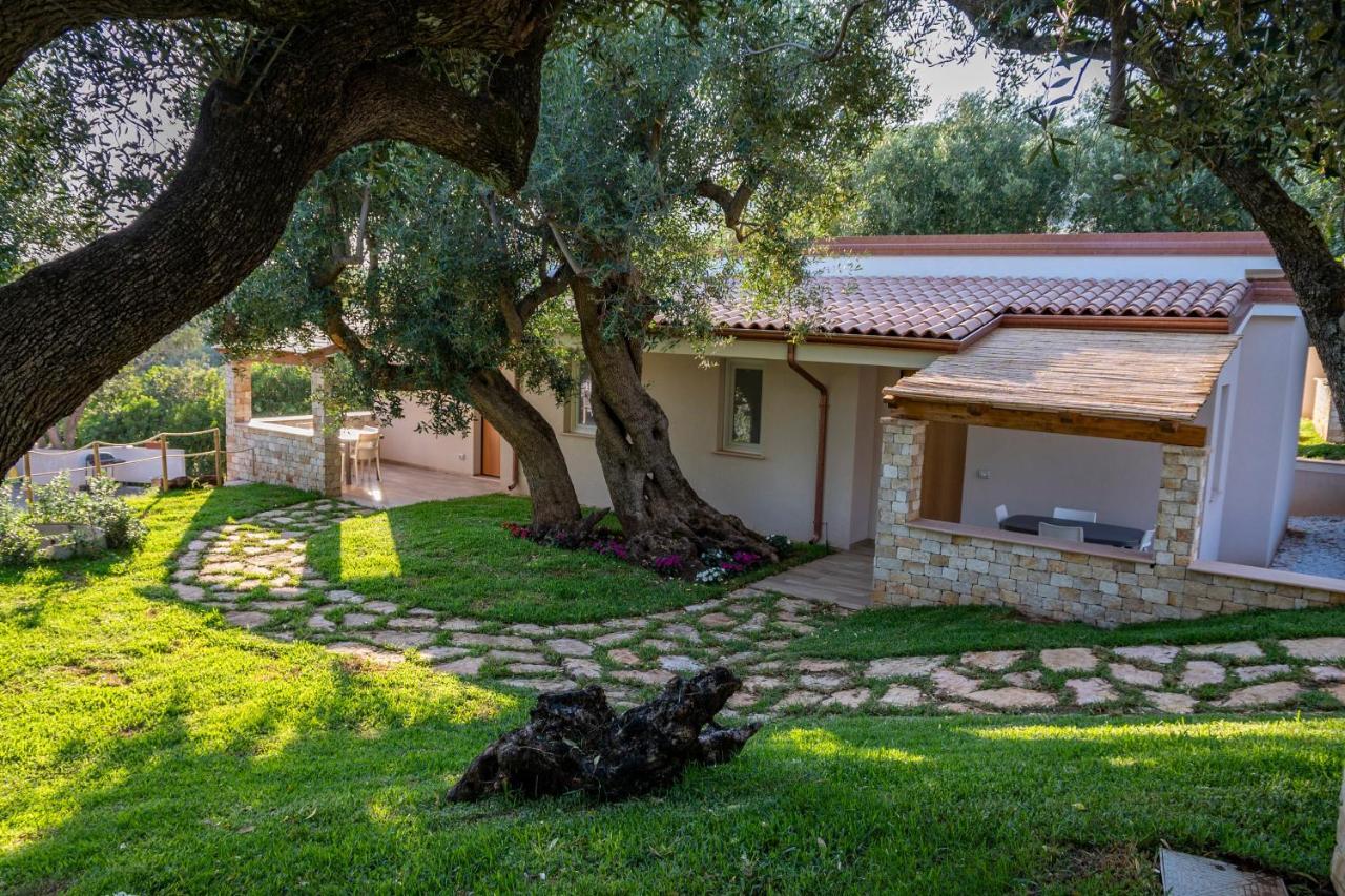 Il Mirto Residence Marina di Camerota Εξωτερικό φωτογραφία