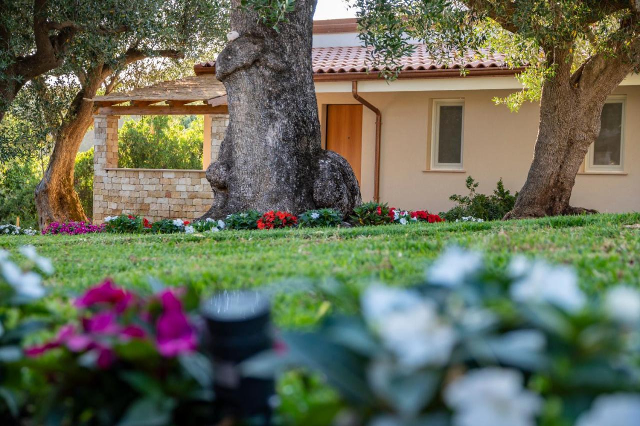 Il Mirto Residence Marina di Camerota Εξωτερικό φωτογραφία