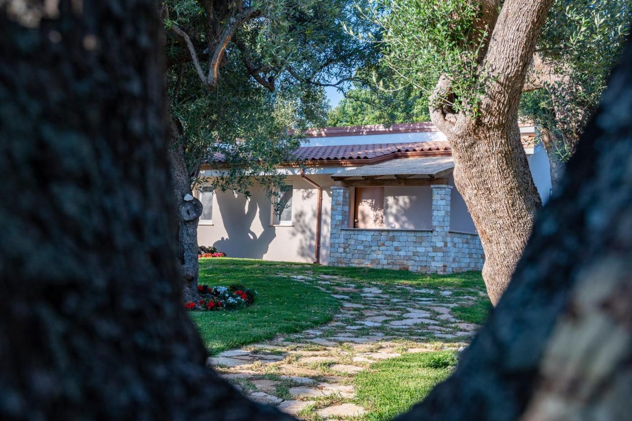 Il Mirto Residence Marina di Camerota Εξωτερικό φωτογραφία